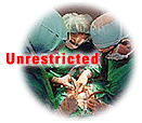 Healthcare Unrestricted Logo